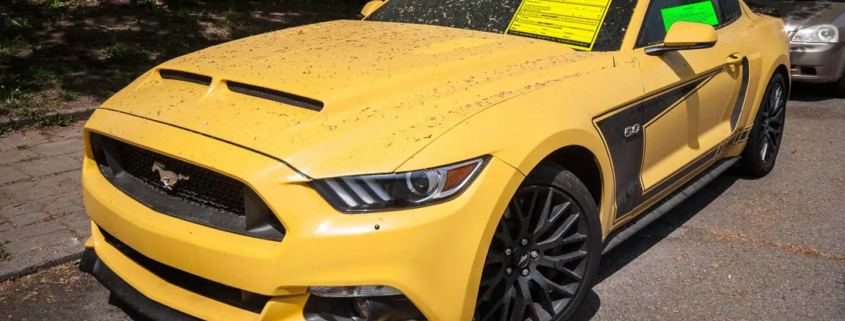 Abandoned yellow luxury sports car covered in dirt on the street