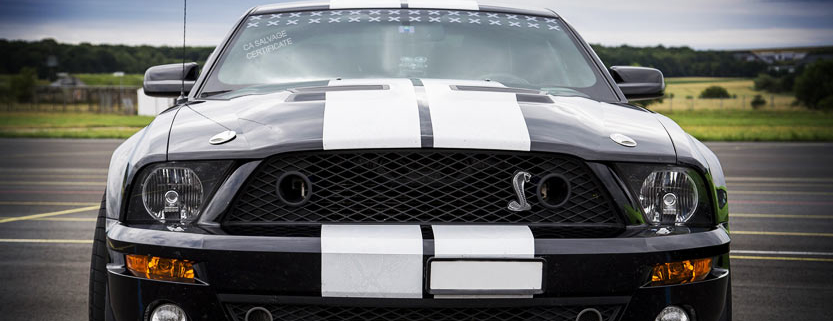 Shelby, Muscle Car, Car, Mustang, Vehicle, Ford Mustang