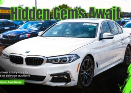 Website banner with the headline "Hidden Gems Await" and the description "Discover luxury cars for less at salvage auctions" displayed over a sleek background featuring high-end vehicles.