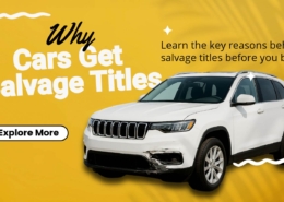 Banner reading: Why Cars Get Salvage Titles with the tagline Learn the key reasons behind salvage titles before you buy.