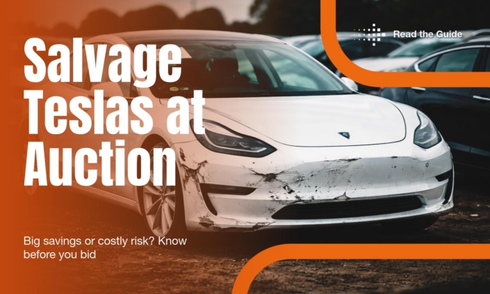 Salvage Teslas at Auction banner showing damaged Tesla at auction yard with message Big savings or costly risk Know before you bid