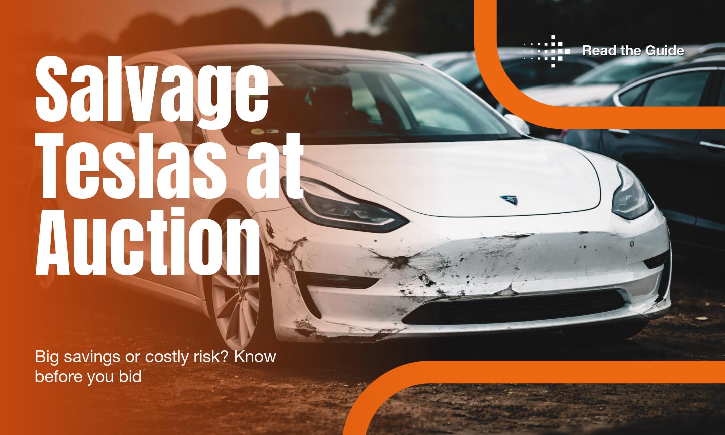Salvage Teslas at Auction banner showing damaged Tesla at auction yard with message Big savings or costly risk Know before you bid