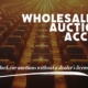 Banner image featuring text "Wholesale Auction Access - Unlock car auctions without a dealer's license!"